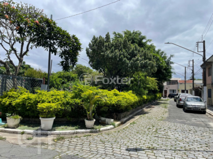 Image 31 - 954501