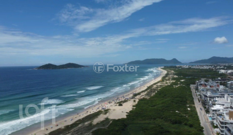 Image 13 - 954516