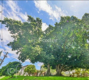 Image 40 - 954716