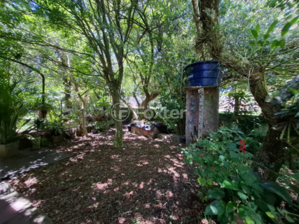 Image 16 - 954867
