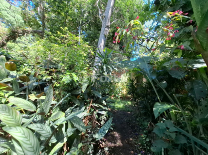 Image 19 - 954867