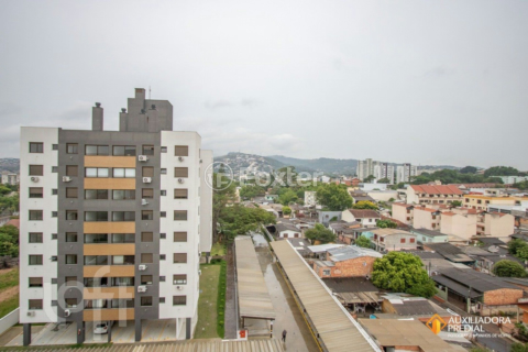 Image 12 - 955832