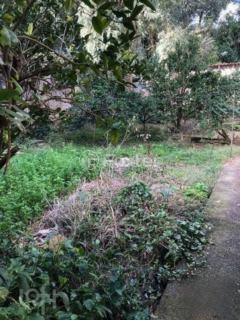 Image 10 - 956344
