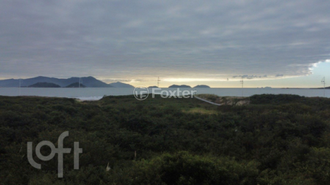 Image 10 - 956774