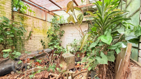 Image 32 - 957632