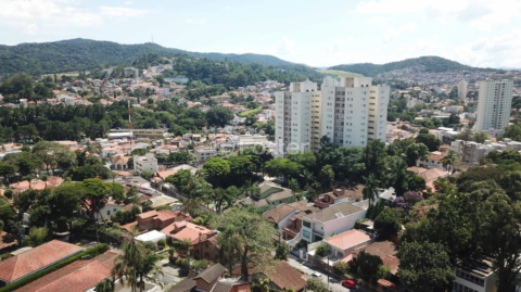 Image 87 - 957834