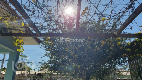 Image 7 - 957911