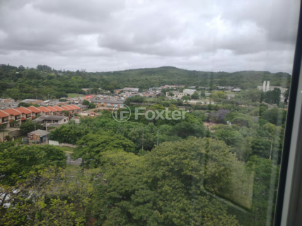Image 4 - 958281