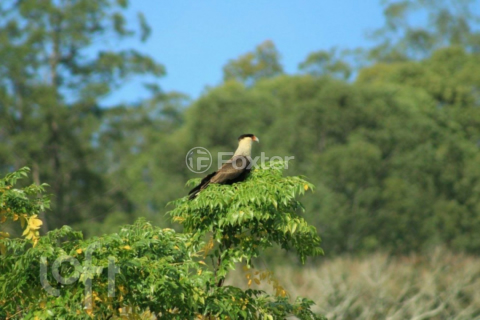 Image 15 - 958379