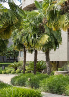 Image 95 - 958760