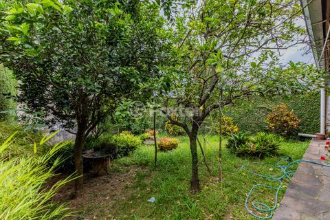 Image 35 - 958862