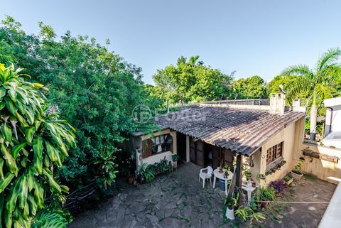 Image 10 - 959523