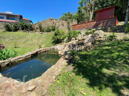 Image 50 - 959547