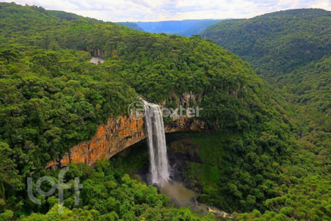 Image 31 - 959704