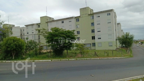 Image 6 - 959934