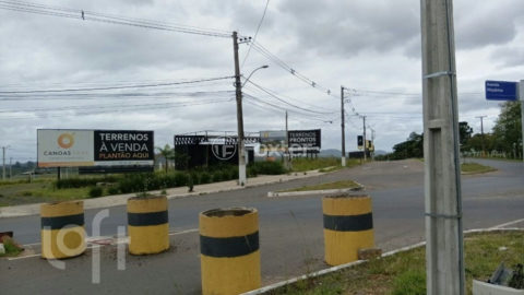 Image 10 - 959934