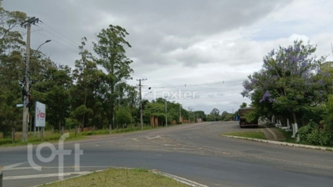Image 4 - 959934