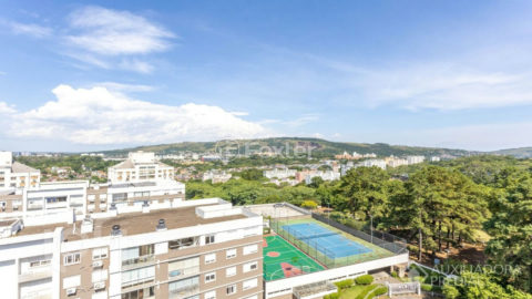 Image 35 - 959961