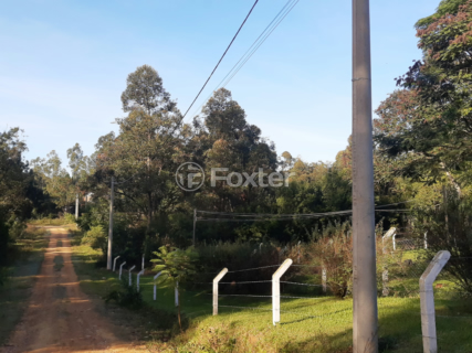 Image 6 - 961095