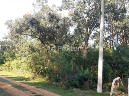 Image 7 - 961095