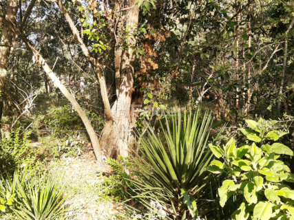 Image 5 - 961095
