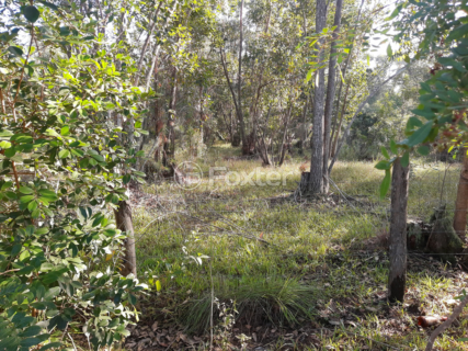 Image 4 - 961095
