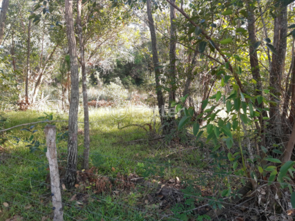 Image 3 - 961104