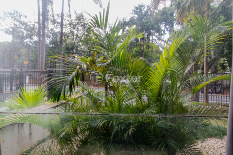 Image 3 - 961347