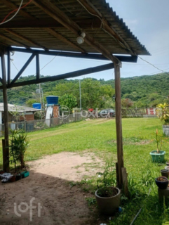 Image 6 - 961918