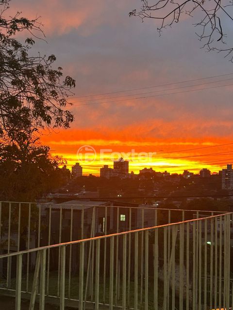 Image 13 - 962366