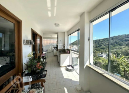 Image 3 - 962537