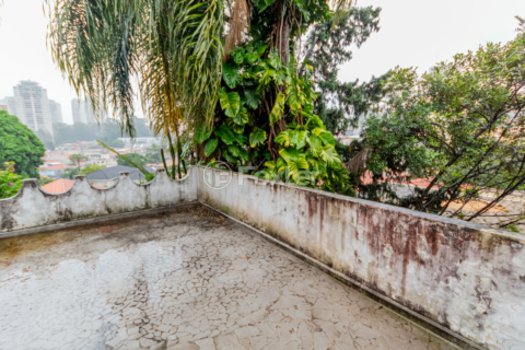 Image 30 - 962561