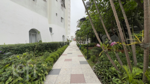 Image 19 - 962783