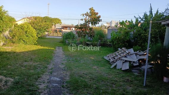 Image 8 - 962900