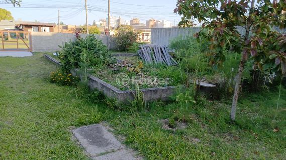 Image 7 - 962900