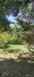 Image 39 - 963742
