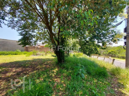 Image 10 - 964389