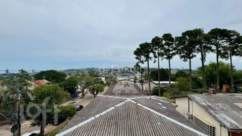 Image 3 - 965239