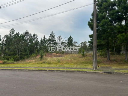Image 3 - 965434