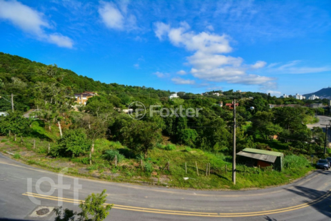 Image 16 - 966144