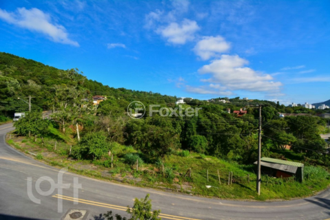 Image 24 - 966144