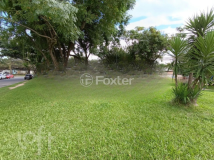 Image 4 - 966237