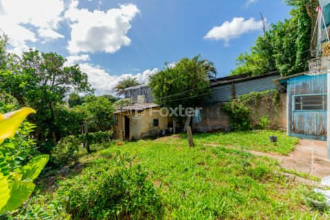Image 35 - 966383