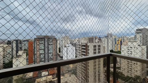 Image 5 - 966484