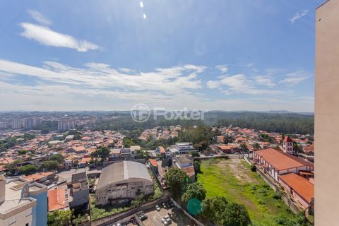 Image 8 - 966576