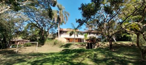 Image 4 - 966747