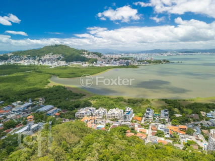Image 32 - 966765