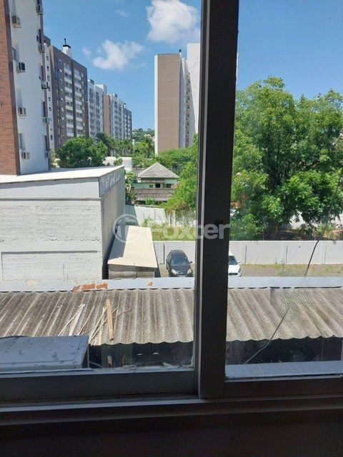 Image 7 - 967169