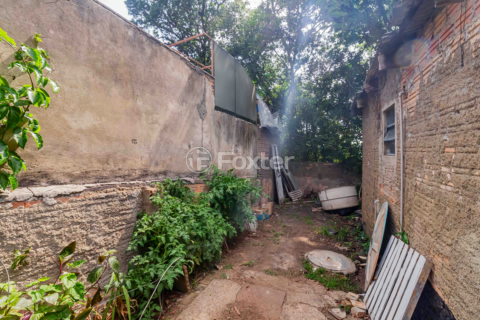 Image 4 - 967244