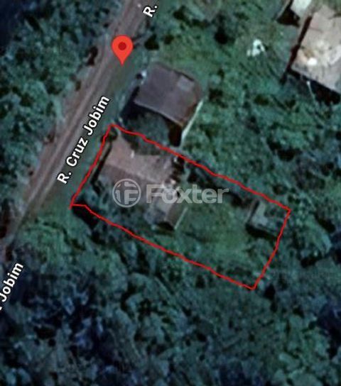 Image 4 - 967496